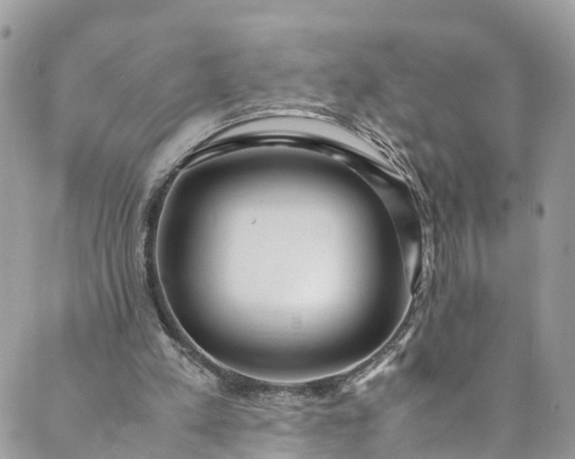 X0000089430197200706291322