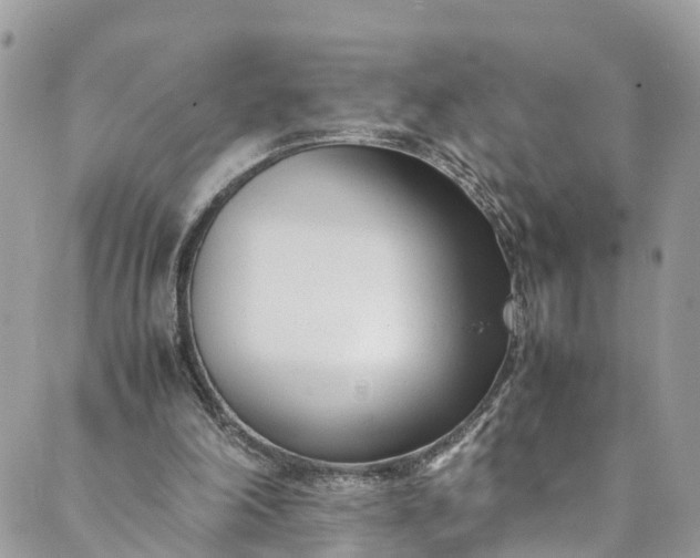 X0000089430198200706291322