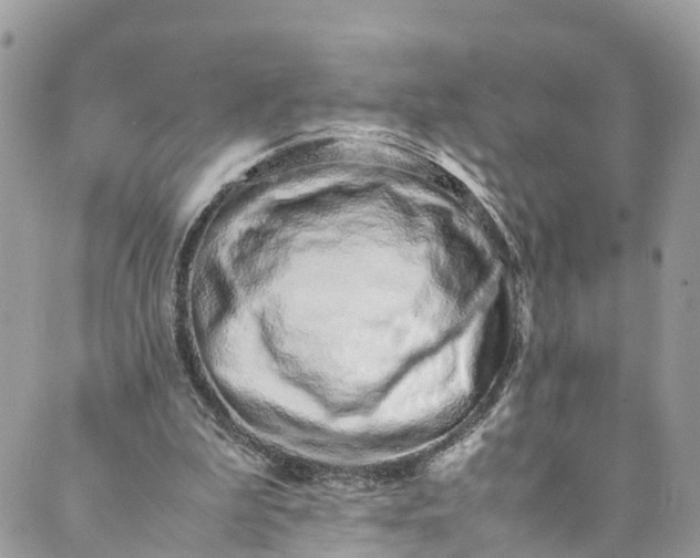 X0000089430199200706291322