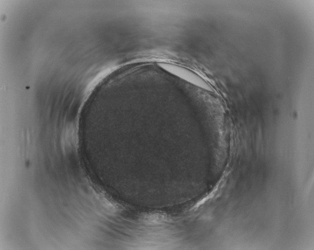 X0000089430200200706291322