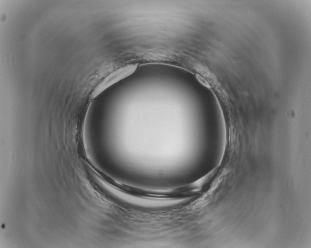 X0000089430201200706291322