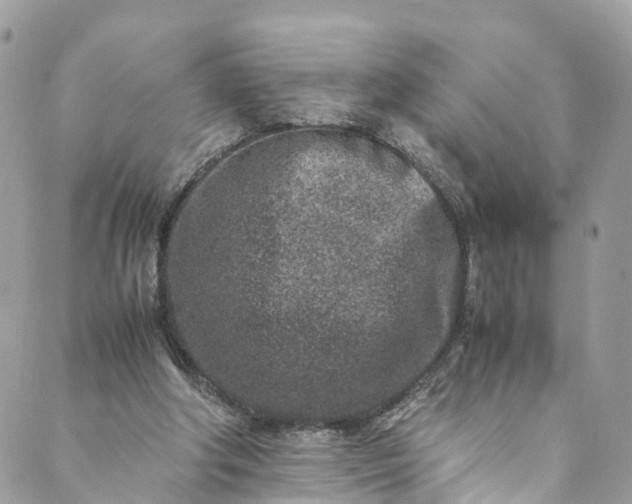 X0000089430202200706291322