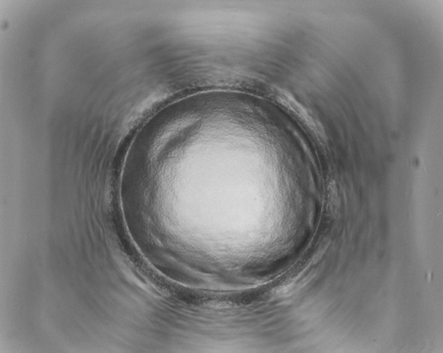 X0000089430203200706291322