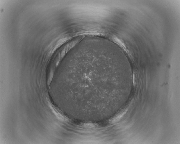 X0000089430205200706291322