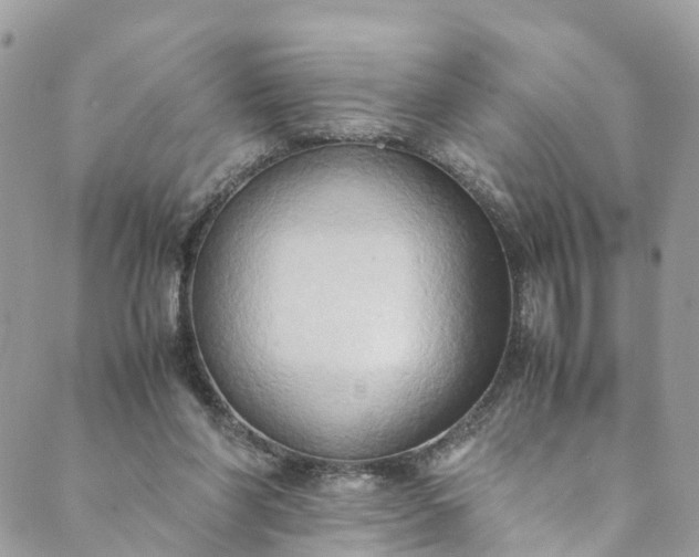 X0000089430206200706291322