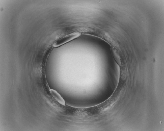 X0000089430207200706291322