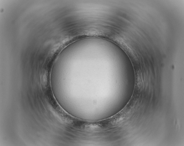 X0000089430208200706291322