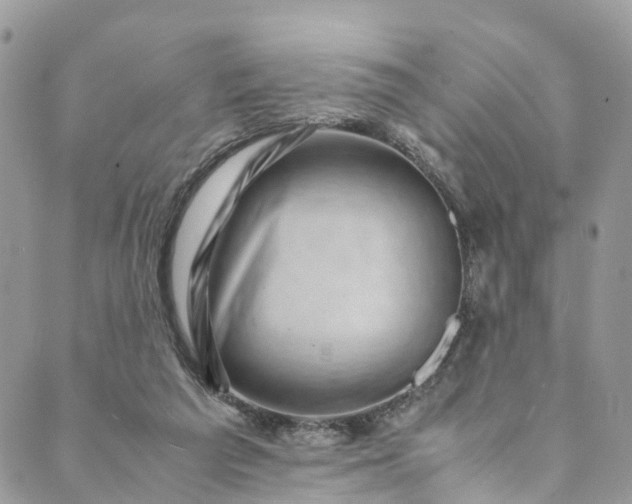 X0000089430209200706291322