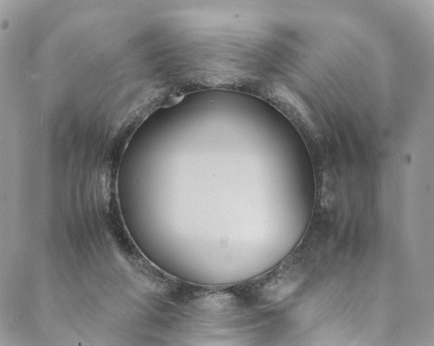 X0000089430210200706291322