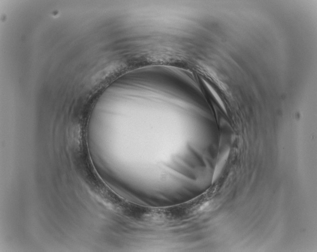 X0000089430211200706291322