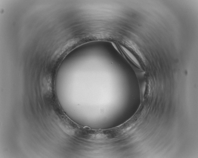 X0000089430212200706291322