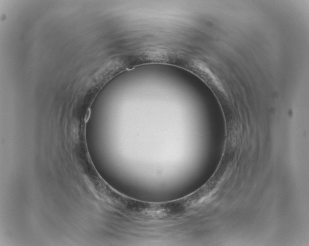 X0000089430213200706291322