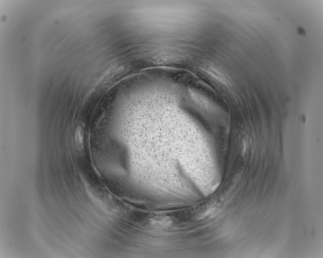 X0000089430214200706291322