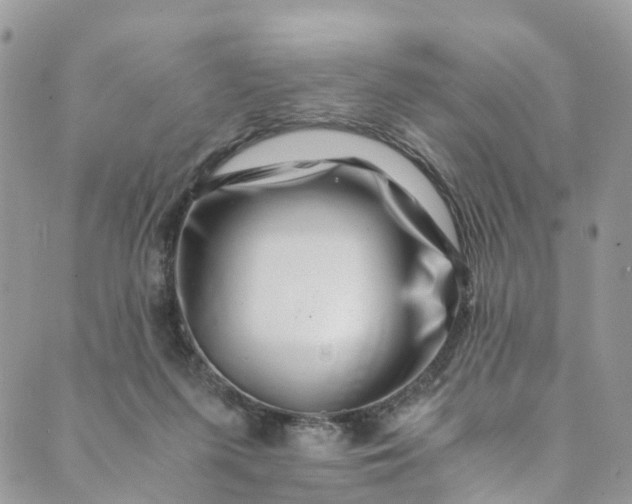 X0000089430215200706291322