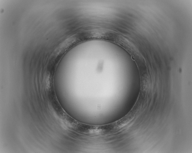 X0000089430216200706291322