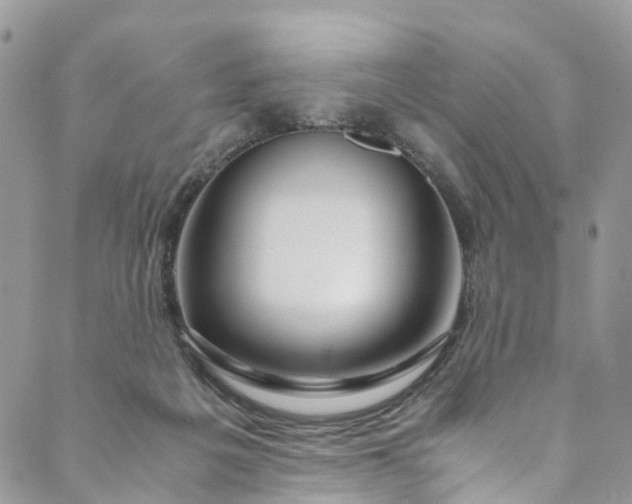 X0000089430217200706291322