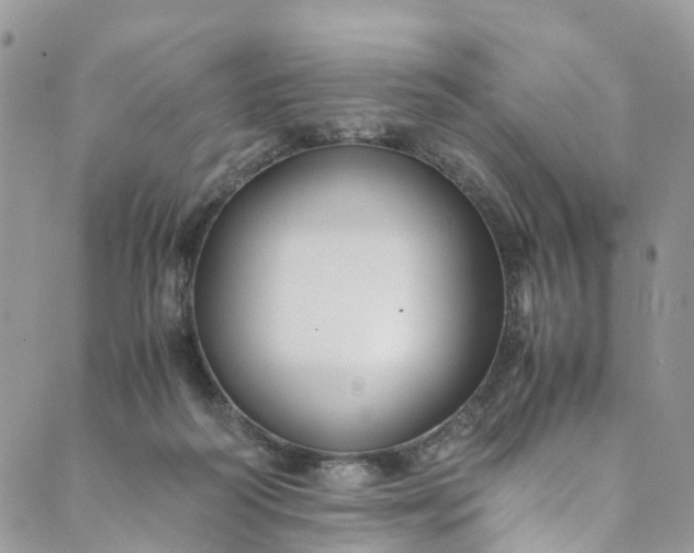 X0000089430218200706291322