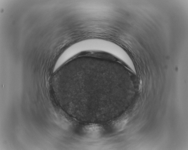 X0000089430219200706291322