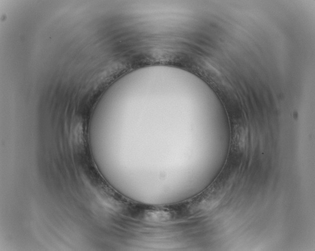 X0000089430220200706291322