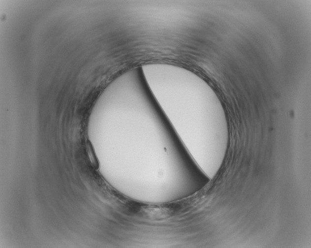 X0000089430221200706291322