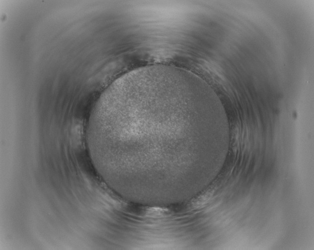 X0000089430222200706291322