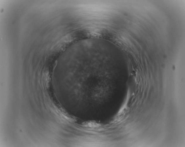 X0000089430223200706291322