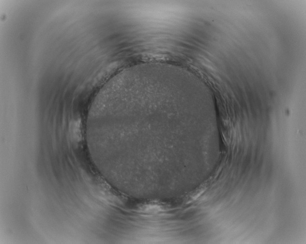 X0000089430224200706291322