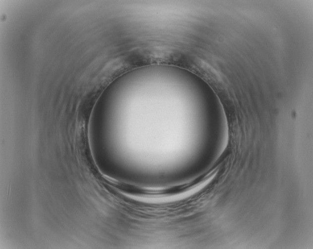 X0000089430225200706291322