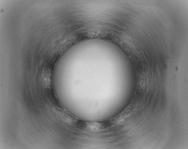 X0000089430226200706291322