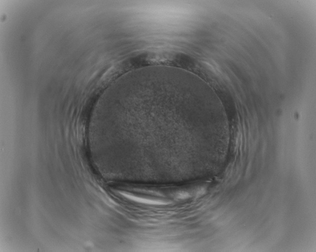 X0000089430227200706291322