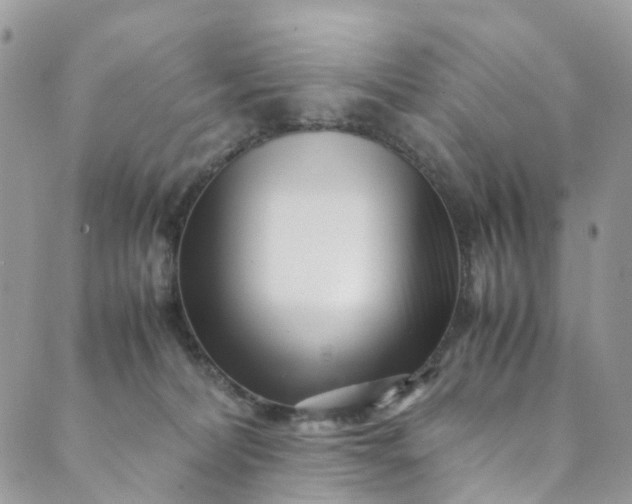 X0000089430228200706291322