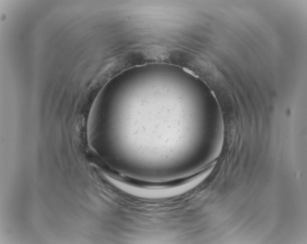 X0000089430229200706291322