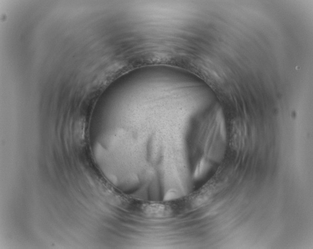 X0000089430230200706291322