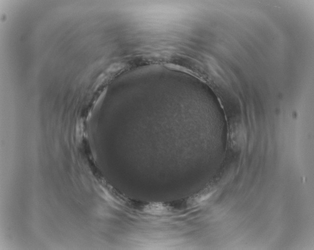 X0000089430231200706291322