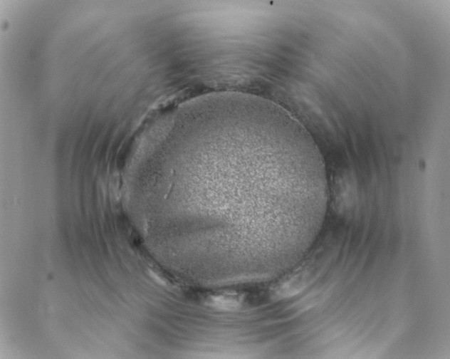 X0000089430232200706291322