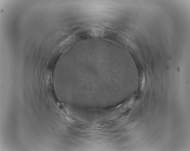 X0000089430233200706291322