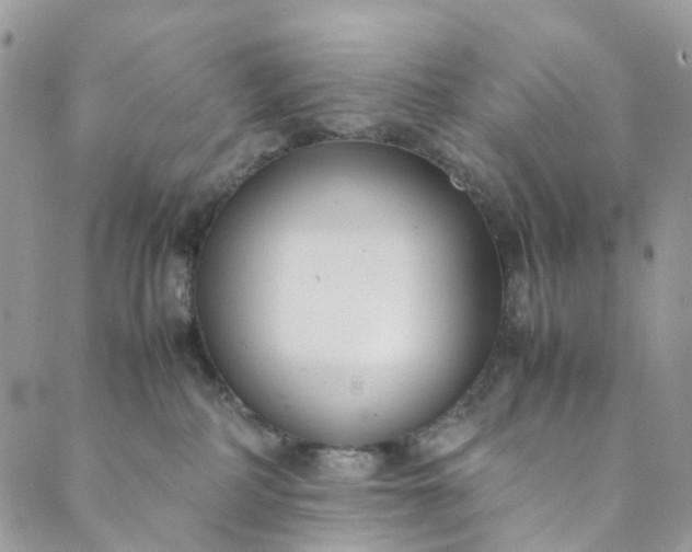 X0000089430234200706291322