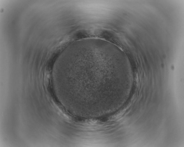 X0000089430235200706291322