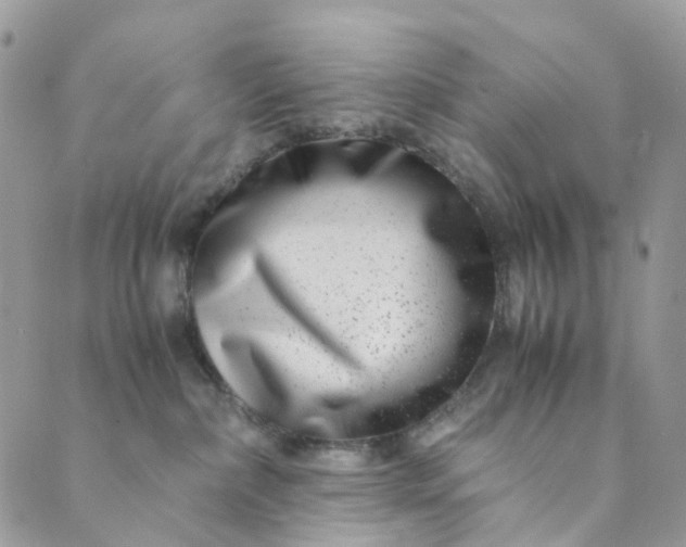 X0000089430236200706291322