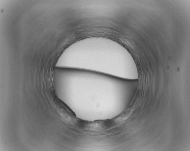 X0000089430237200706291322