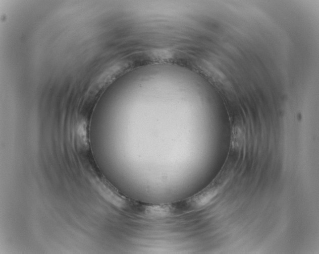 X0000089430238200706291322