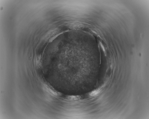 X0000089430239200706291322