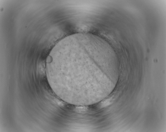 X0000089430240200706291322