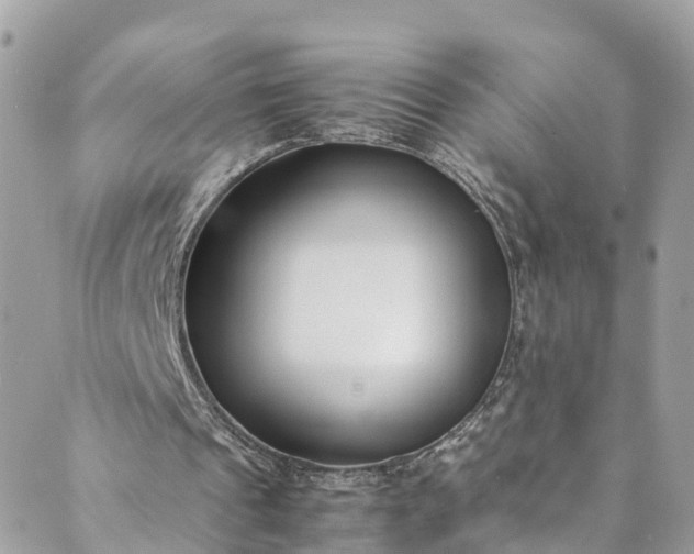 X0000089430241200706291321