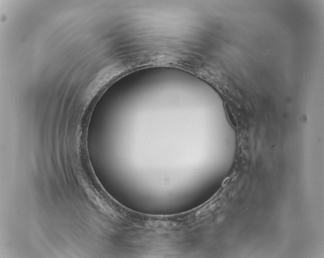 X0000089430242200706291321