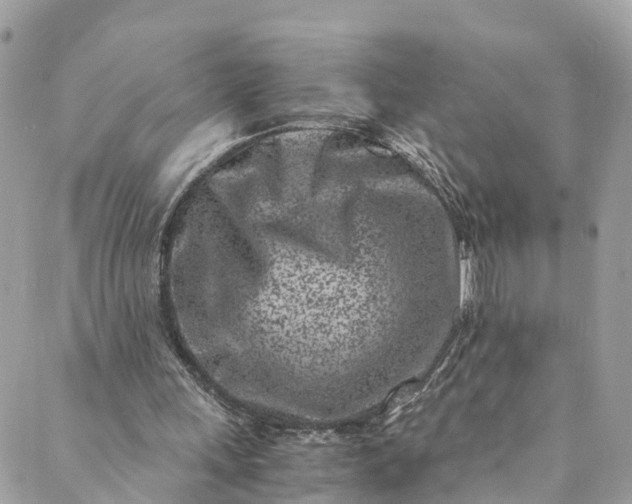 X0000089430243200706291321