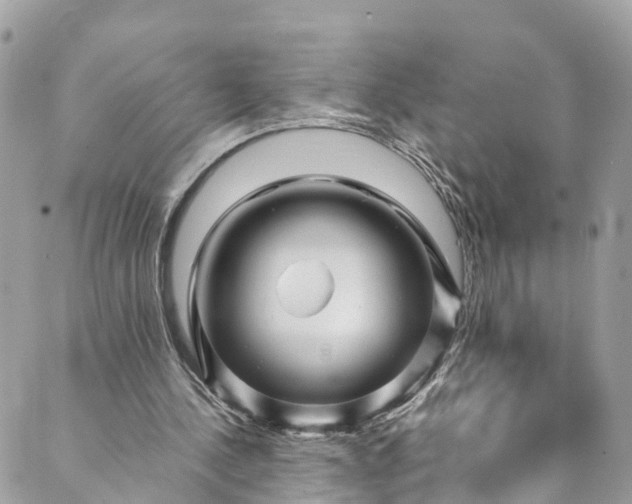 X0000089430244200706291321