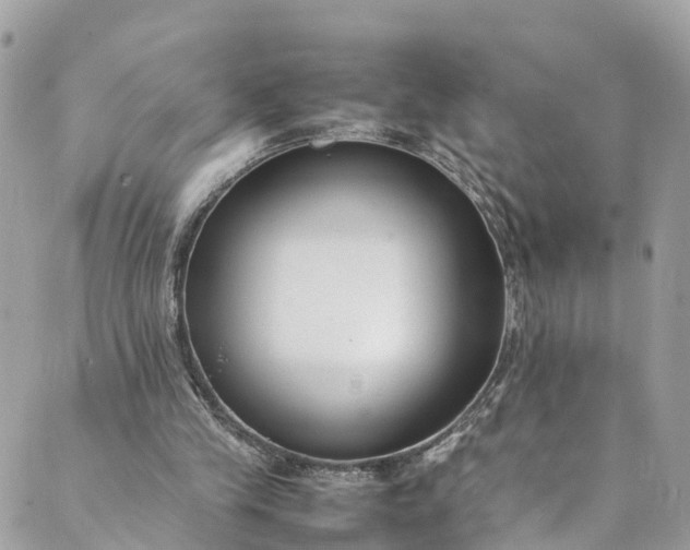 X0000089430245200706291321