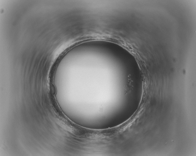 X0000089430246200706291321