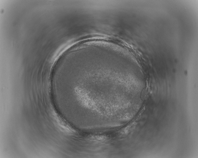 X0000089430247200706291321